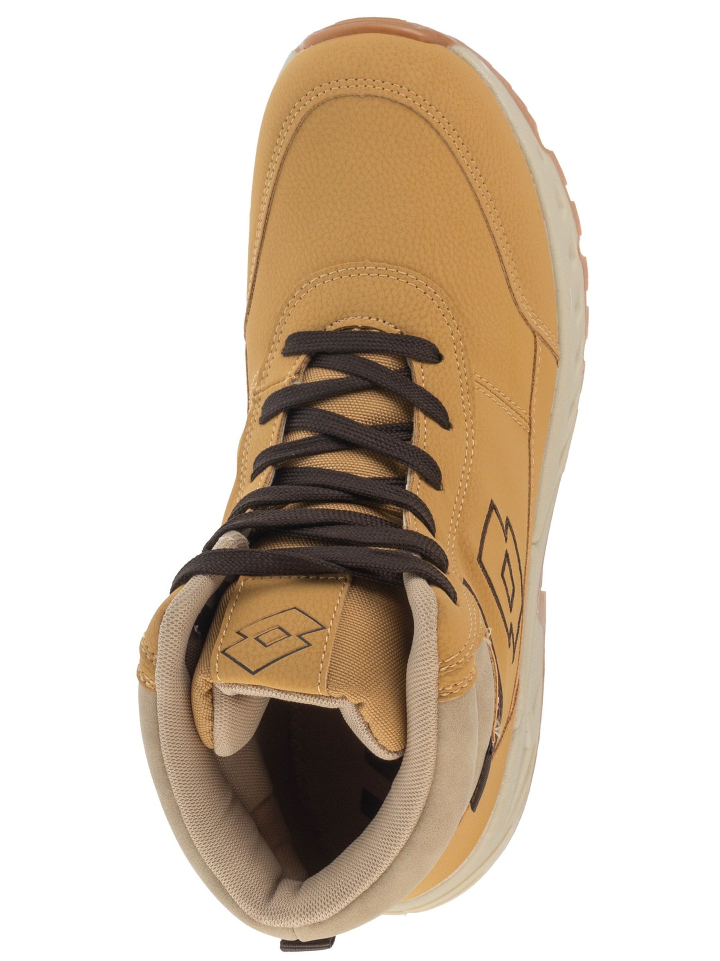 LOTTO Boots 'Lotto Evedal Mid' in Brown