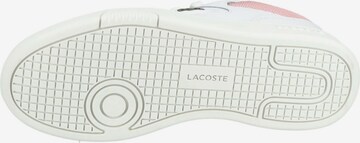 Baskets basses LACOSTE en blanc