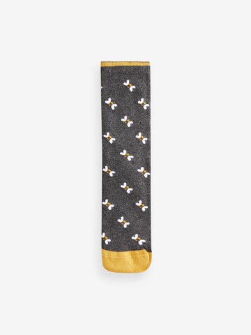 Chaussettes Next en mélange de couleurs