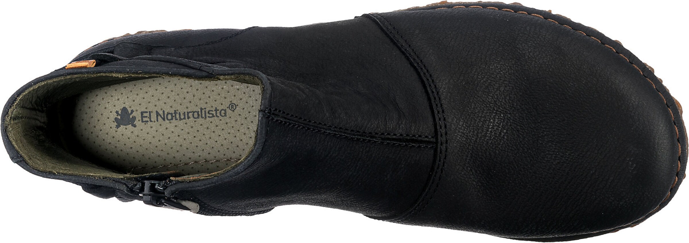 EL NATURALISTA Ankle boots in Black