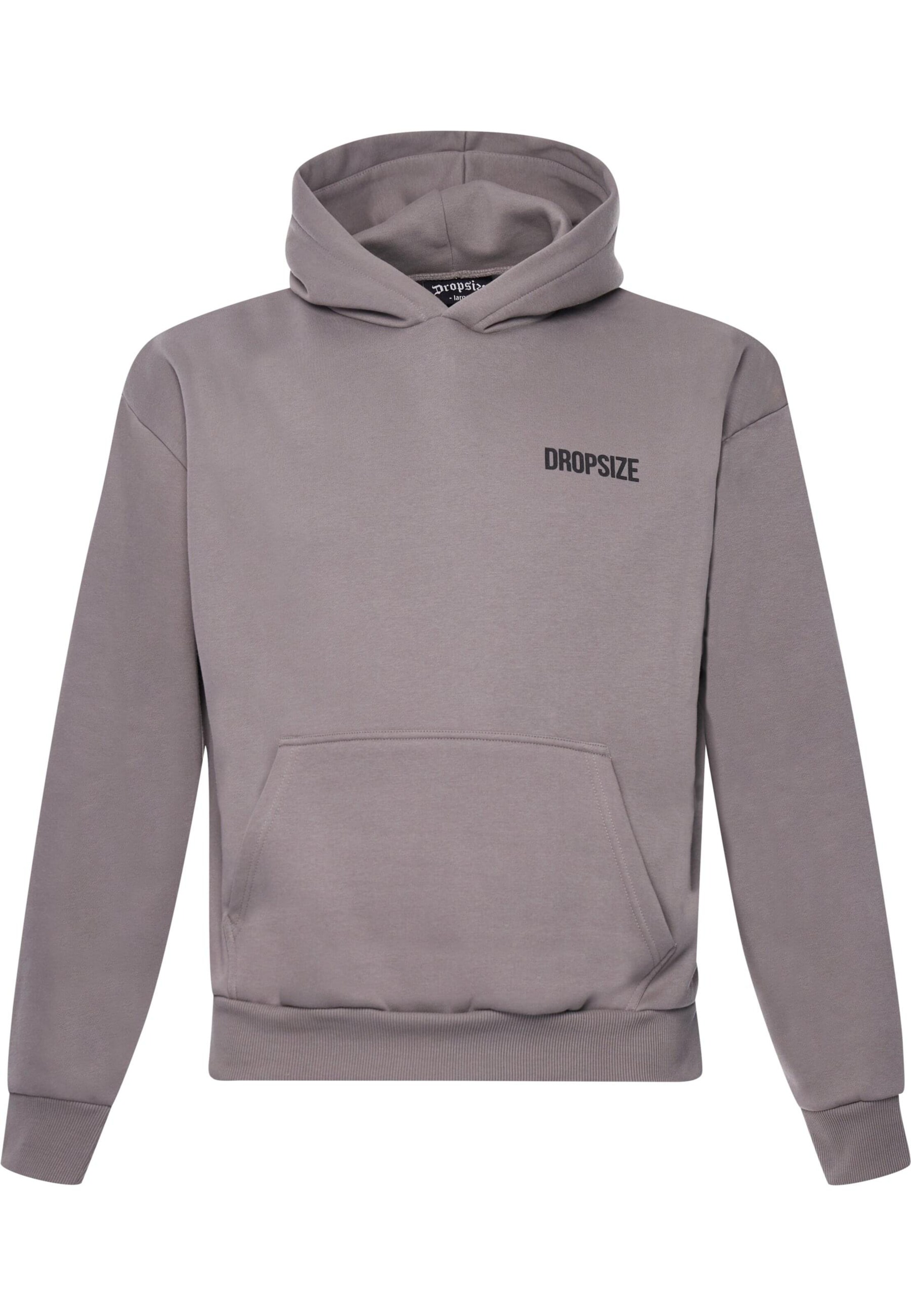Dropsize Sweatshirt in Grau: Vorderseite