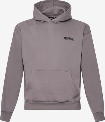 Sweat-shirt Dropsize en gris : devant