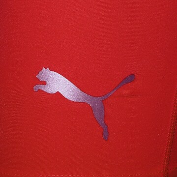 PUMA Sportondergoed 'Liga' in Rood