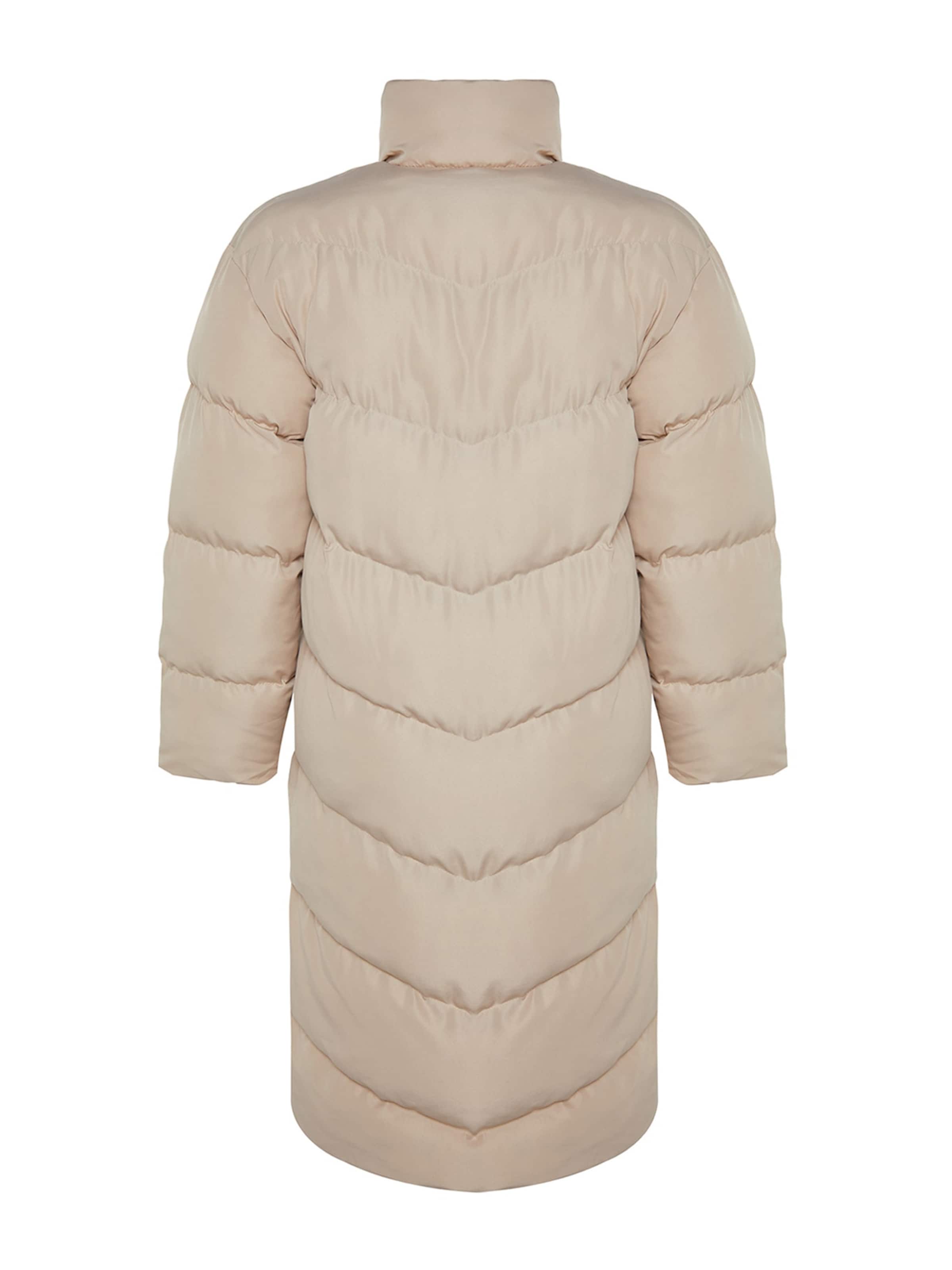Trendyol Winter Coat in Beige