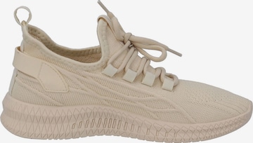 Baskets basses 'Mastie' Palado en beige