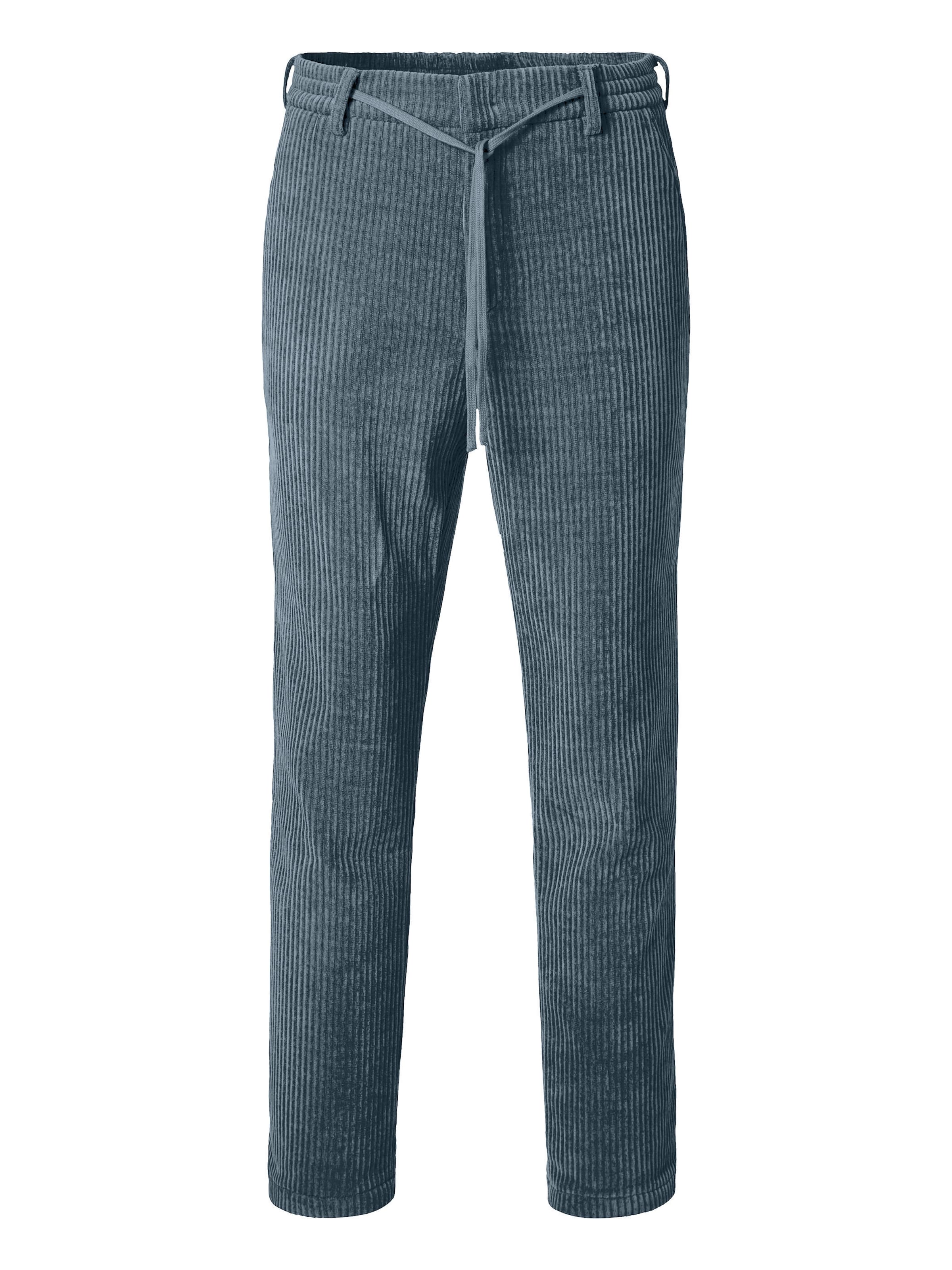 PIERRE CARDIN Trousers 'Rick' in Blue: front