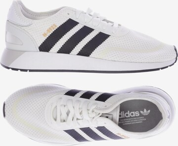 ADIDAS ORIGINALS Sneakers & Trainers in 43 in White: front