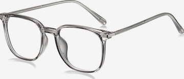 VEYREY Glasses 'Nerd Blue-Light-Brille Extrabeet' in Grey: front