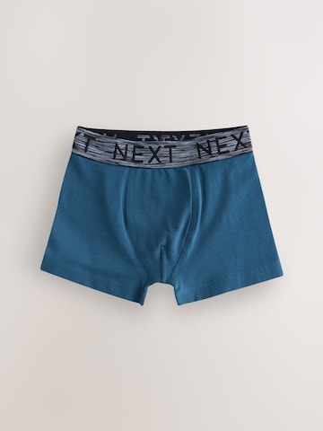 Pantaloncini intimi di Next in colori misti