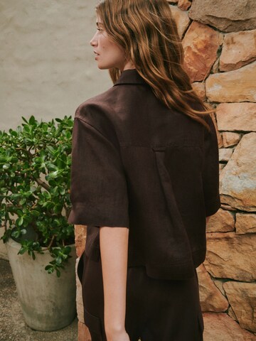 Next Blouse 'N. Premium' in Brown