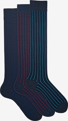 Gambaletto '3 Pack Calze Lunghe Fantasia - Confezione Regalo - Ciocca' di Ciocca in colori misti: frontale