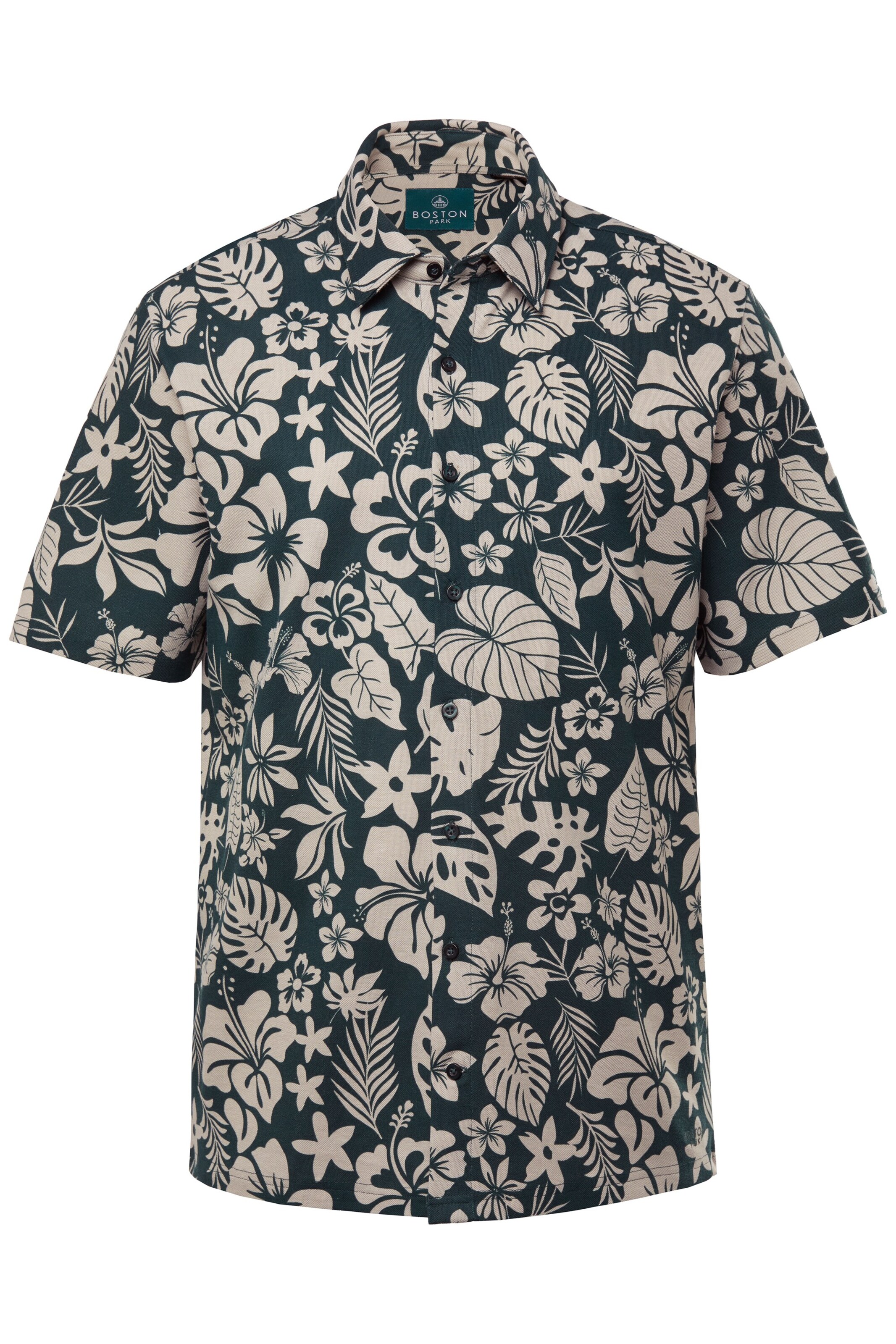 Boston Park Regular fit Button Up Shirt in Green: front