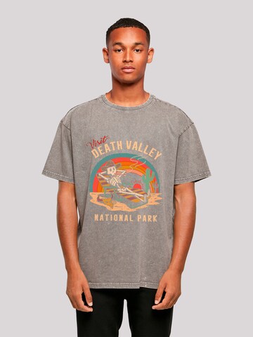 T-Shirt 'US National Parks Visit Death Valley' F4NT4STIC en gris : devant