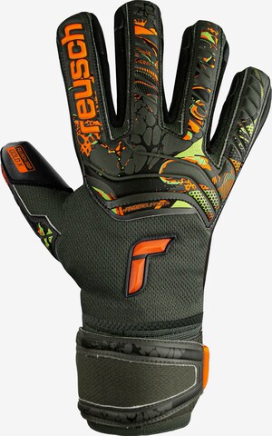 REUSCH Athletic Gloves 'Attrakt Gold X Finger Support' in Black