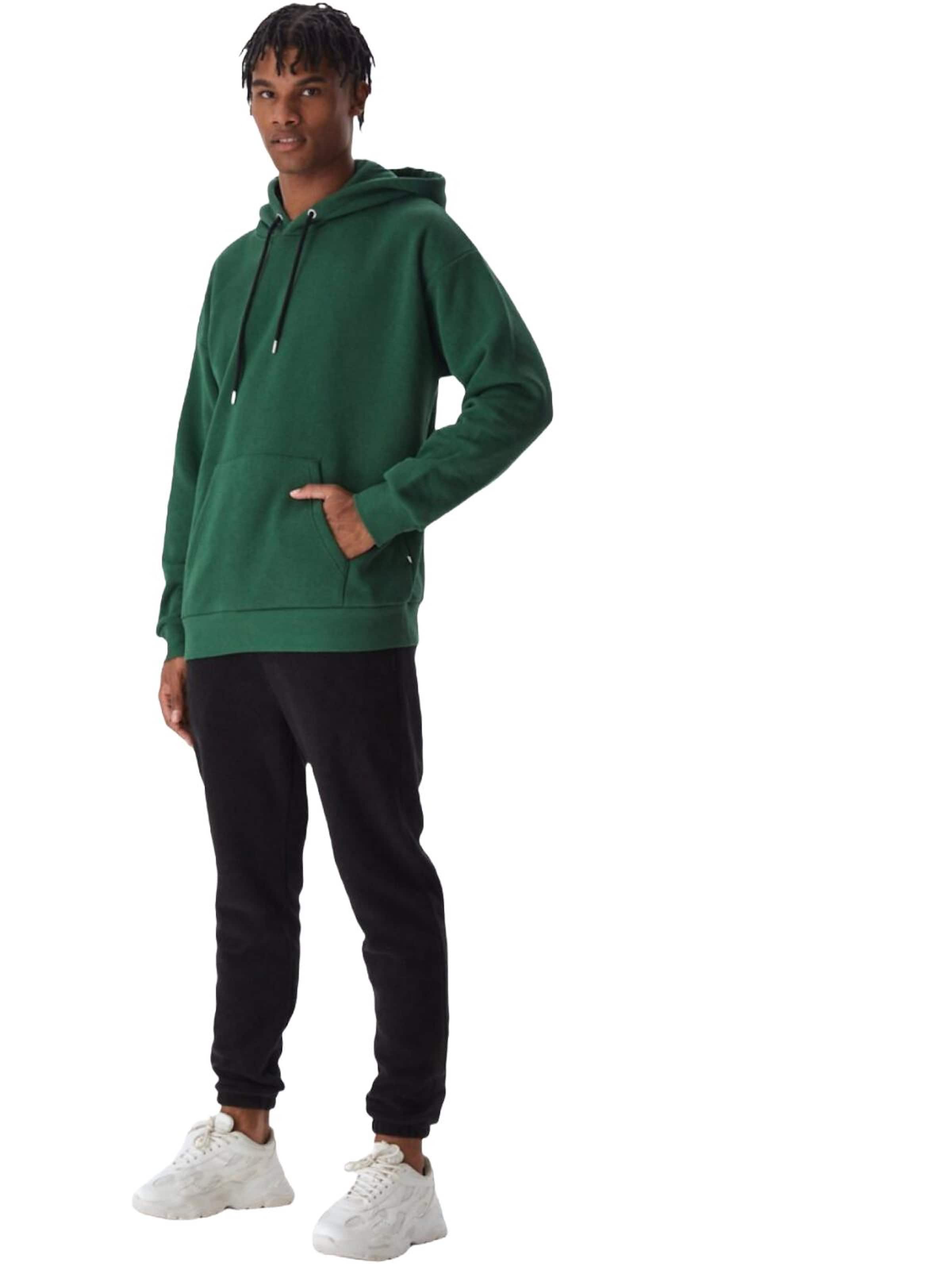 LTB Jeans Sweatshirt 'Herren' in Green