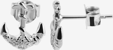 Akzent Earrings '"Anke" aus 925 Sterlingsilber, rhodiniert, langlebig' in Silver: front