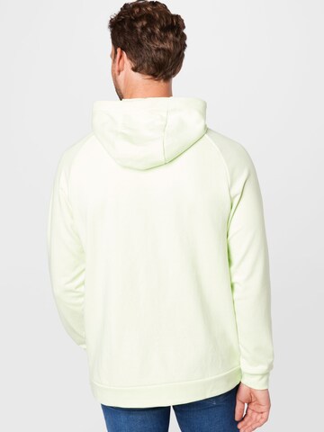 NIKE Sportsweatshirt in Grün