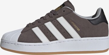 ADIDAS ORIGINALS Sneaker 'Superstar' in Braun: predná strana