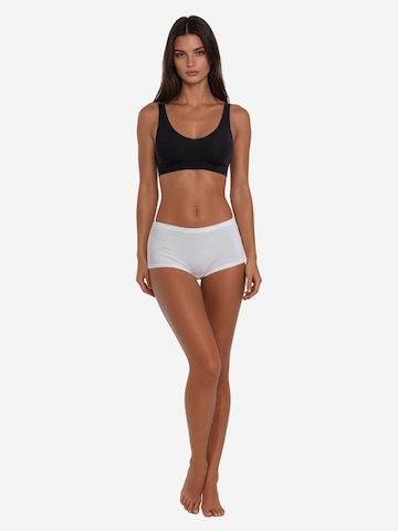 SPEIDEL Panty 'Cotton & More' in Brown