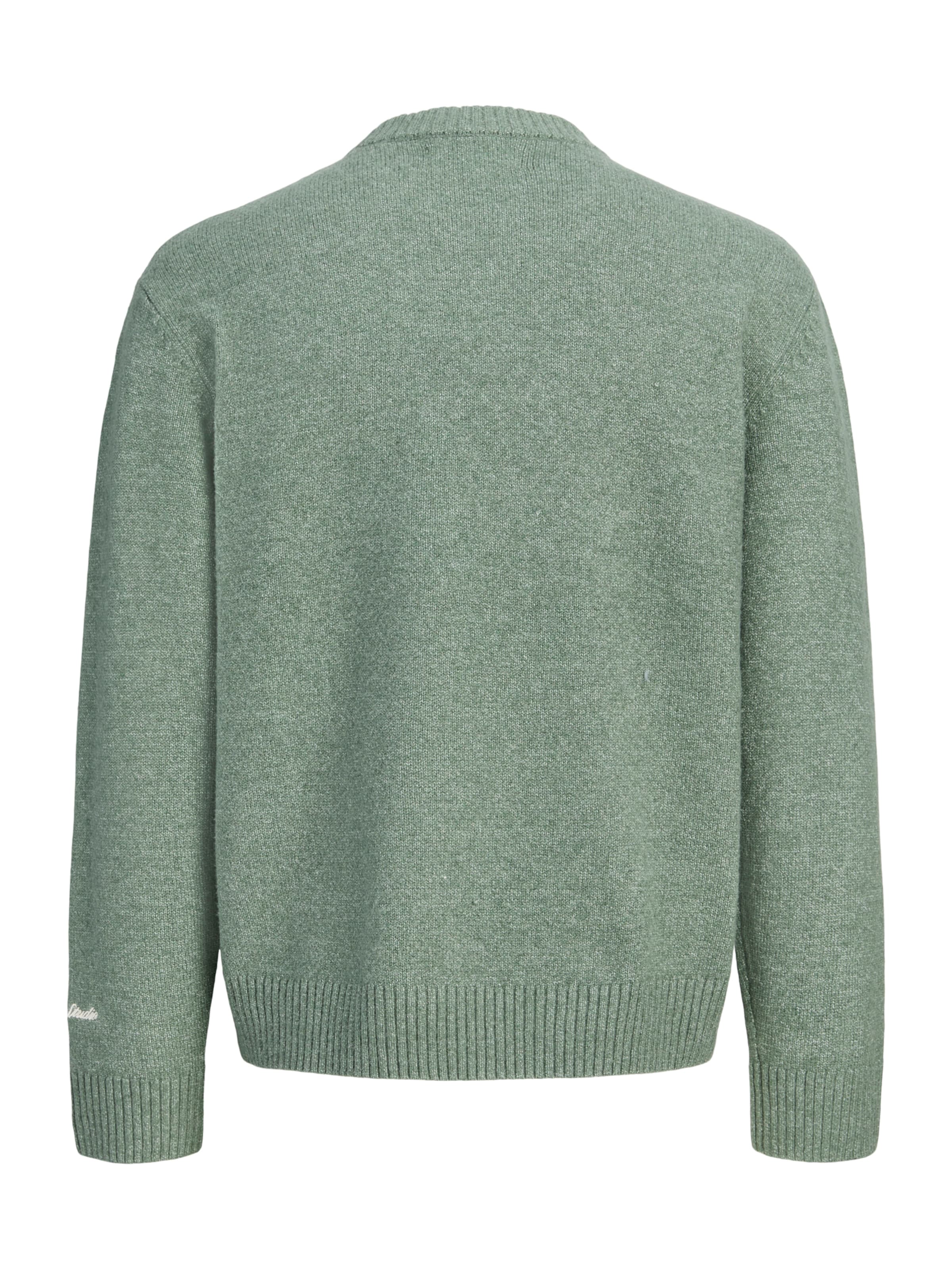 Jack & Jones Junior Kampsun 'JORNORREBRO', värv roheline