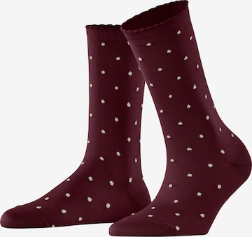 FALKE Socks 'Spike Dot' in Red: front