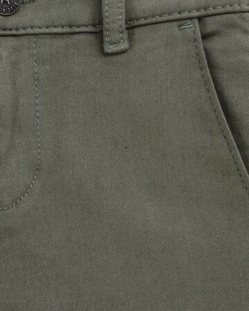 WE Fashion Slimfit Hose in Grün