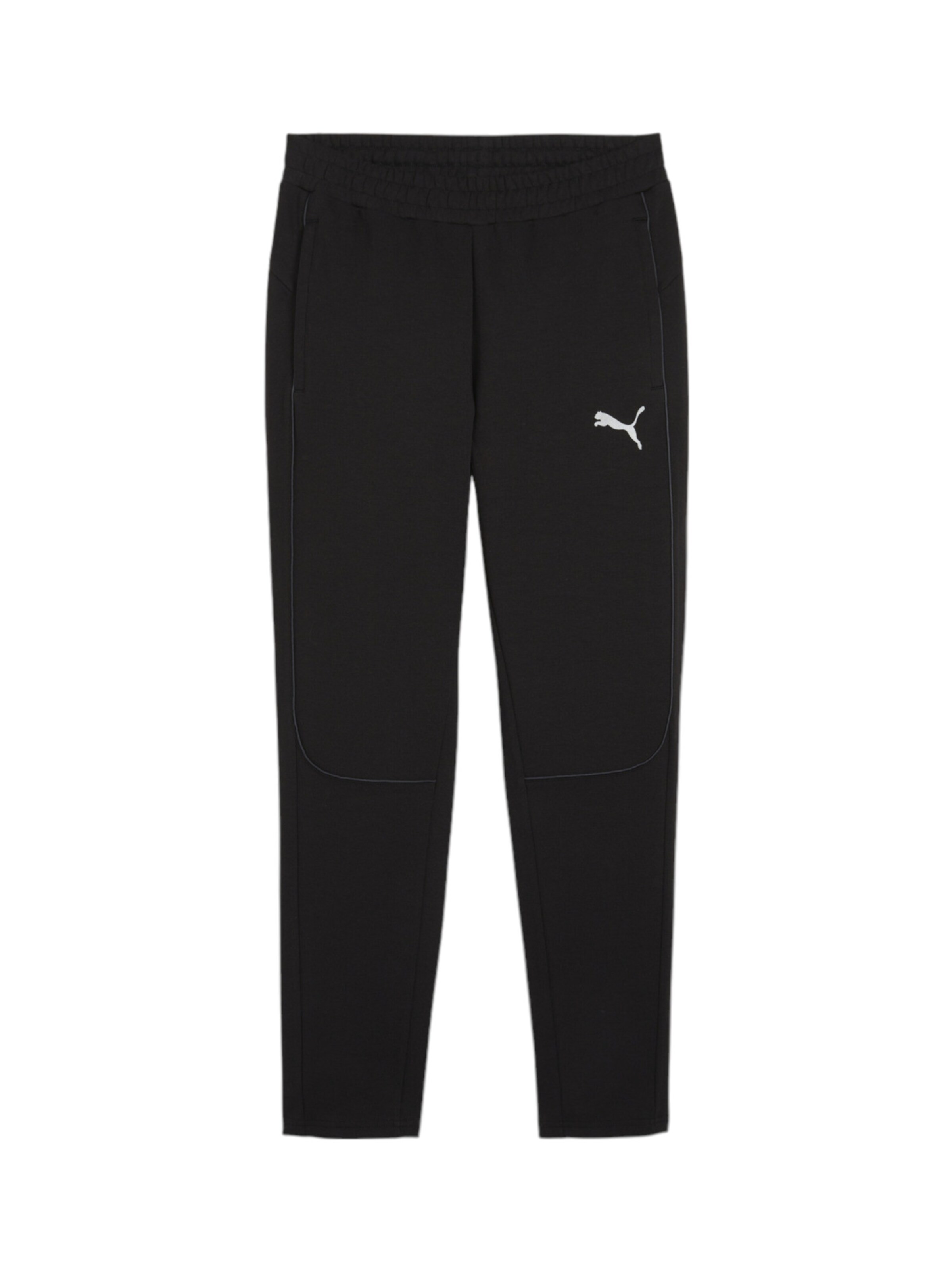 PUMA Sporthose 'Team Final' in Schwarz: Vorderseite