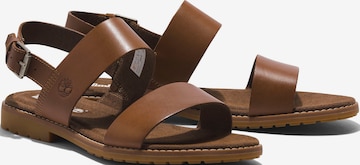 TIMBERLAND Sandals 'Chicago Riverside' in Brown