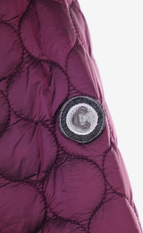 Clarina Jacket & Coat in 4XL in Purple