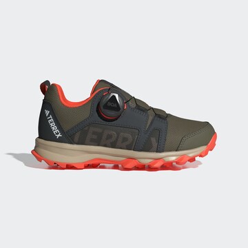 ADIDAS TERREX Sports shoe 'Agravic Boa' in Green