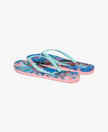 Tongs Superdry en bleu