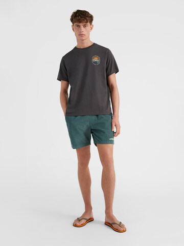 O'NEILL Regular Shorts in Blau