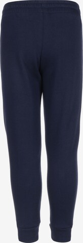 Effilé Pantalon de sport 'Entrada 22' ADIDAS PERFORMANCE en bleu
