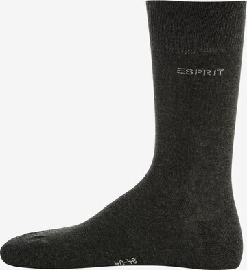 ESPRIT Socken in Grau