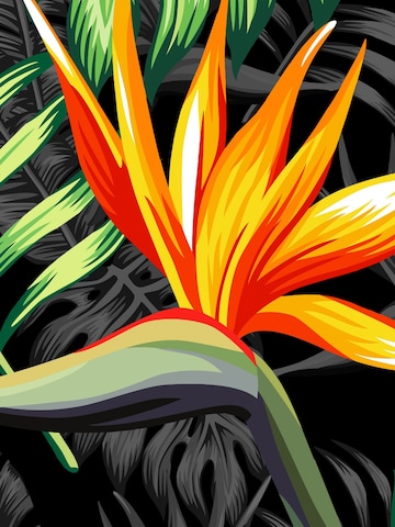 Coupe regular Chemise 'Hawaiihemd "Bird of Paradise"' Hawaiihemdshop.de en noir