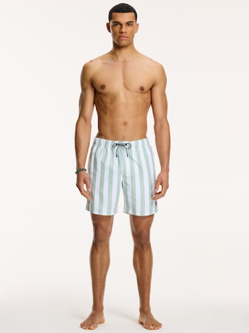 Shorts de bain Shiwi en vert