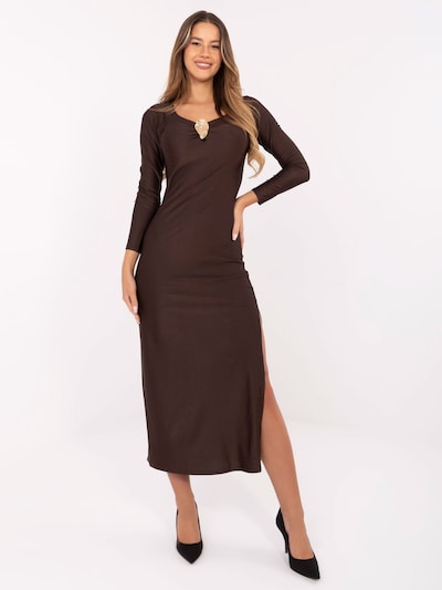 Madnezz House Dress in Brown, Item view