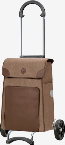 Shopper 'Elik' di Andersen Shopper in marrone: frontale