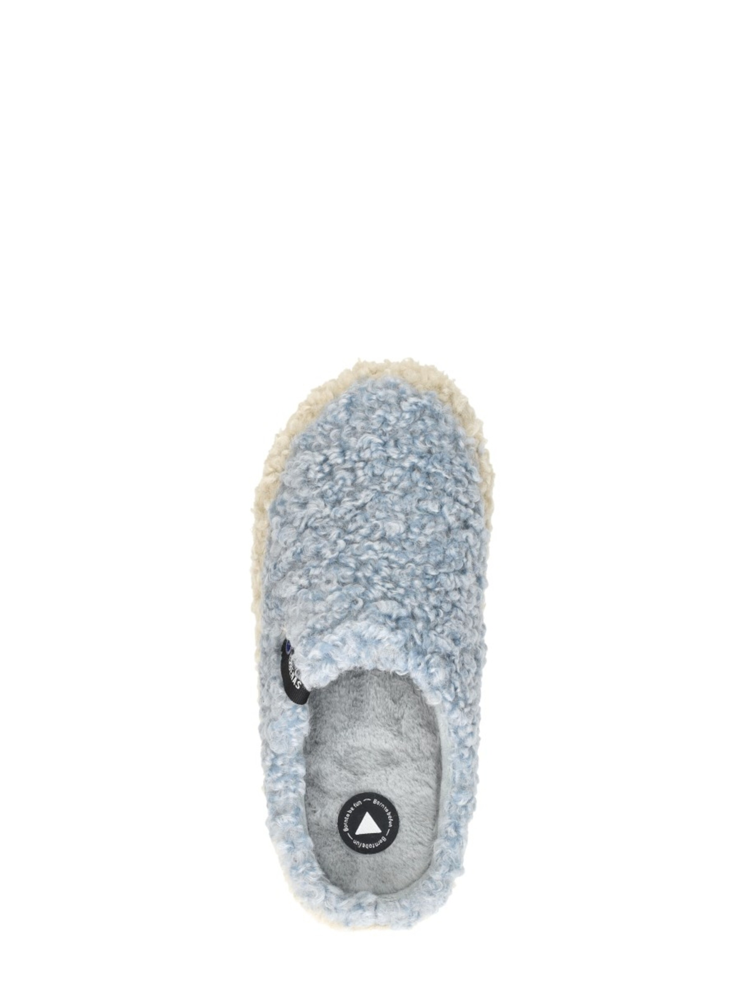 VERBENAS Slipper 'Yuma Curly' in Blue