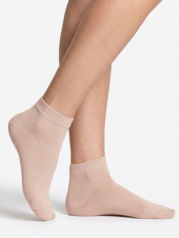 footstar Socken 'EVERYDAY!'‌‌‌‌‌‌‌‌‌‌ in Beige: Vorderseite
