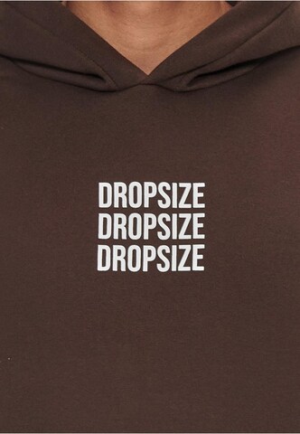 Dropsize Sweatshirt in Braun