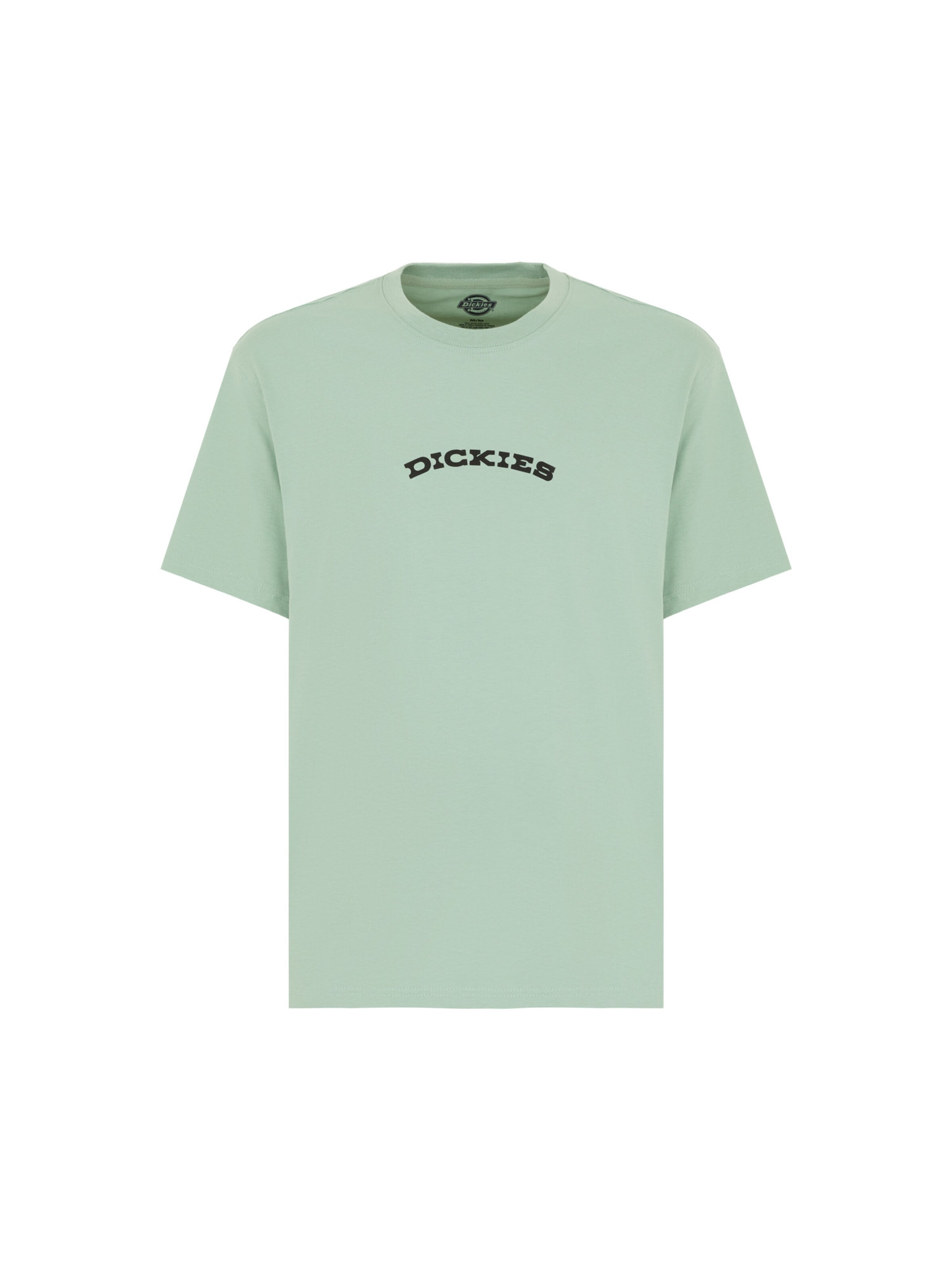 DICKIES Shirt in Groen: voorkant