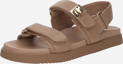 Sandalai 'Mona' iš STEVE MADDEN, spalva – kupranugario, Prekių apžvalga