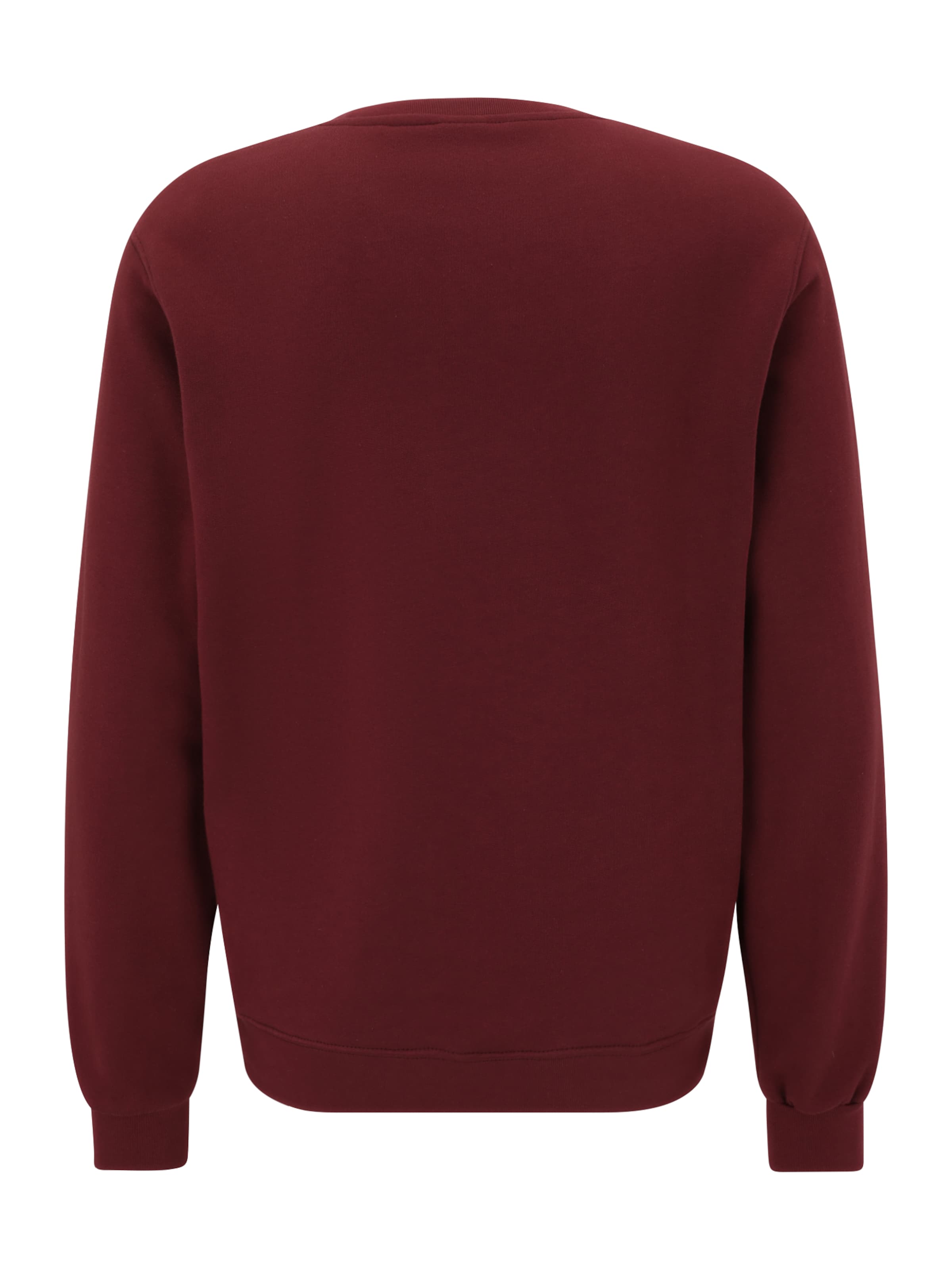 Iriedaily Средняя посадка Свитшот 'Mini Flag 2' в Красный