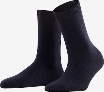 FALKE Socken 'Cosy Wool' in Blau: Vorderseite