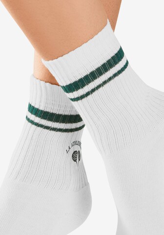 LASCANA ACTIVE Athletic Socks in Green