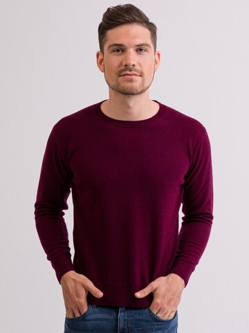 Pullover di CASH-MERE.CH in lilla: frontale