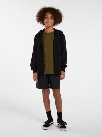 DICKIES T-shirt 'MAPLETON' i grön