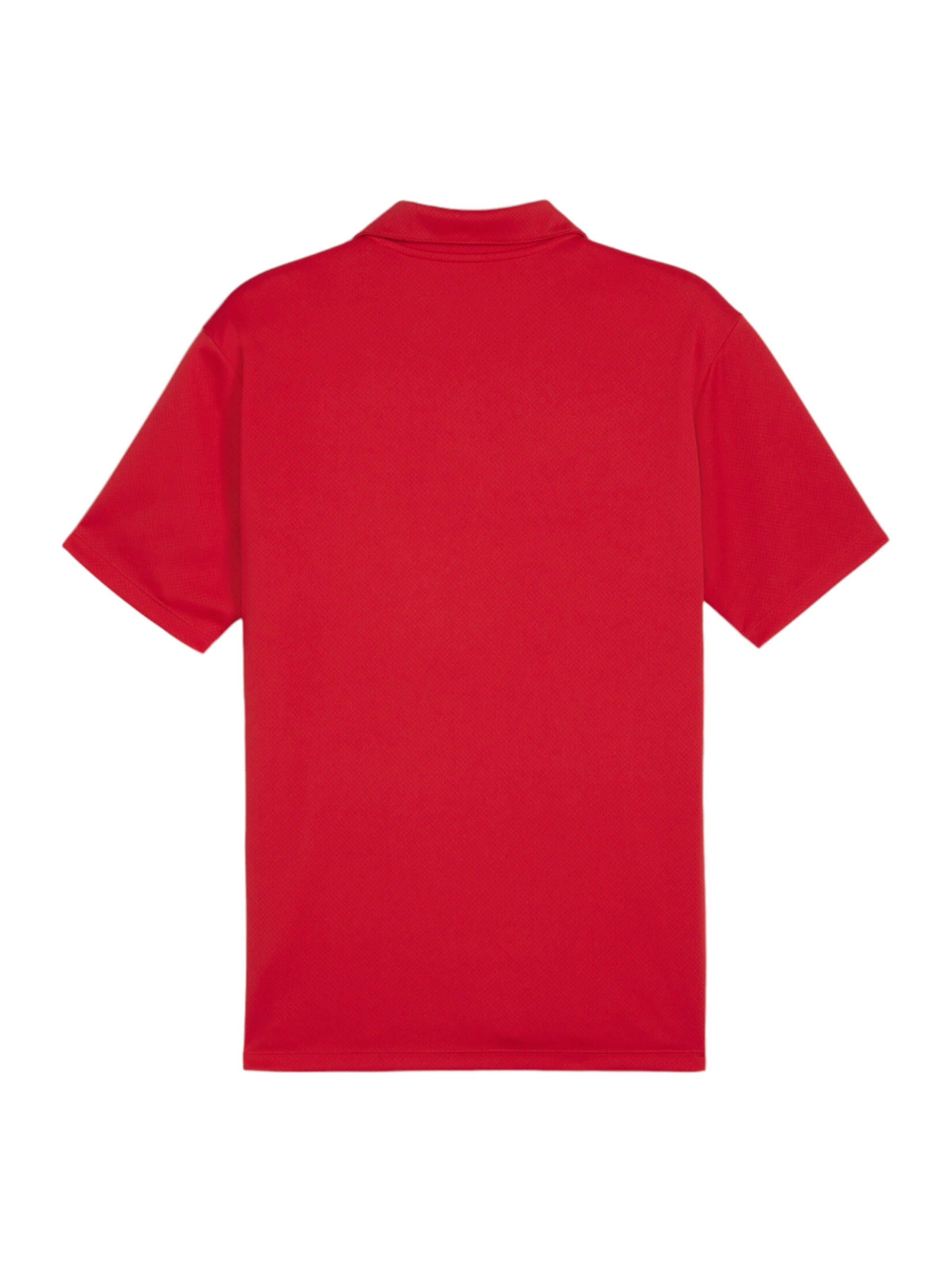 PUMA Funktionsshirt 'Team Goal' in Rot