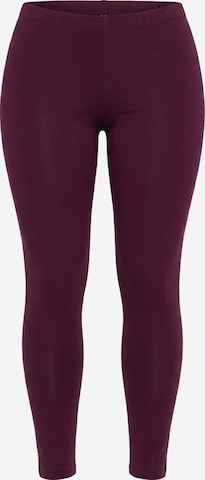 Ulla Popken Leggings in Red: front